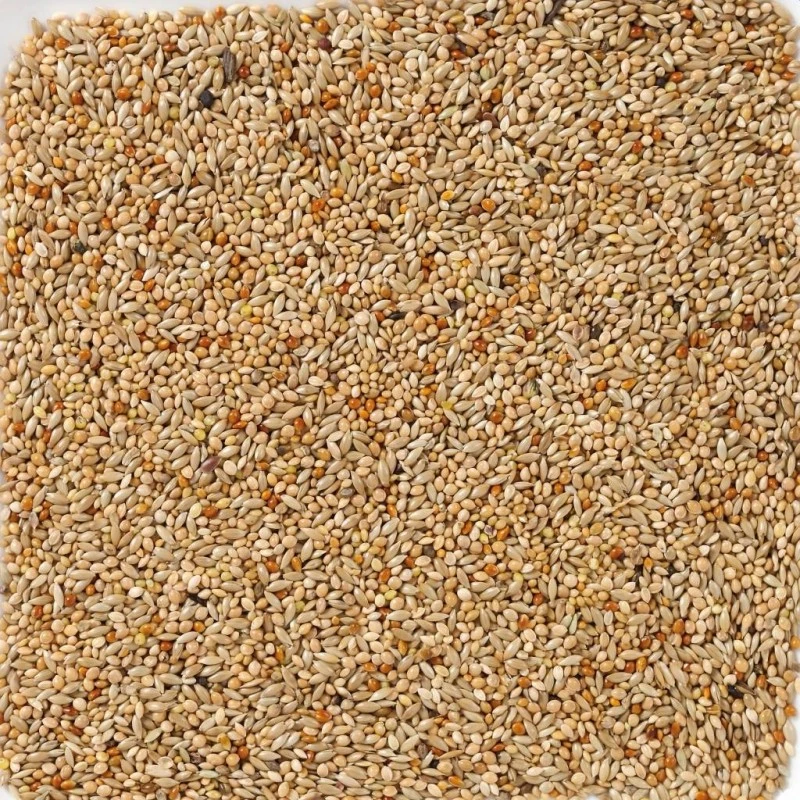 N°40 Oiseaux Exotiques Base 20kg - Deli Nature 4 N°40 Oiseaux Exotiques Base 20kg - Deli Nature - Image 2