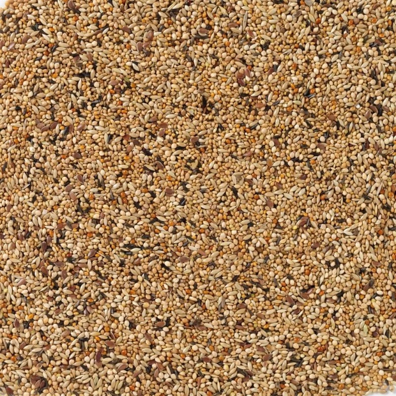 N°41 Oiseaux Exotiques Elevage 20kg - Deli Nature 4 N°41 Oiseaux Exotiques Elevage 20kg - Deli Nature - Image 2