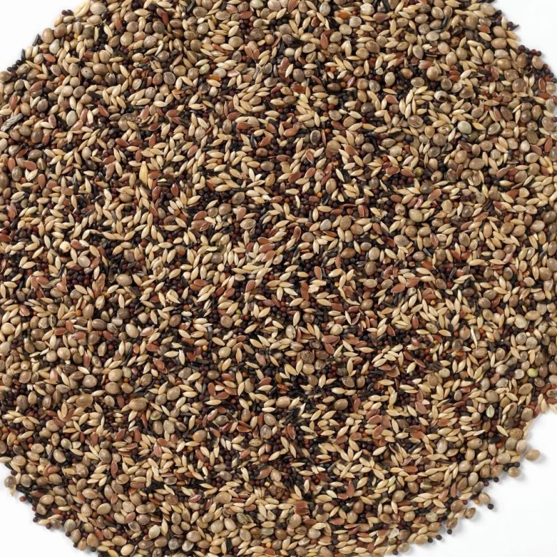 N°48 Tarins & Chardonnerets 20kg - Deli Nature 4 N°48 Tarins & Chardonnerets 20kg - Deli Nature - Image 2