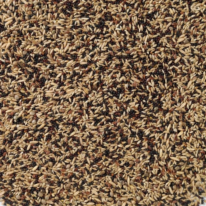 N°50 Canaris Base 20kg - Deli Nature 4 N°50 Canaris Base 20kg - Deli Nature - Image 2