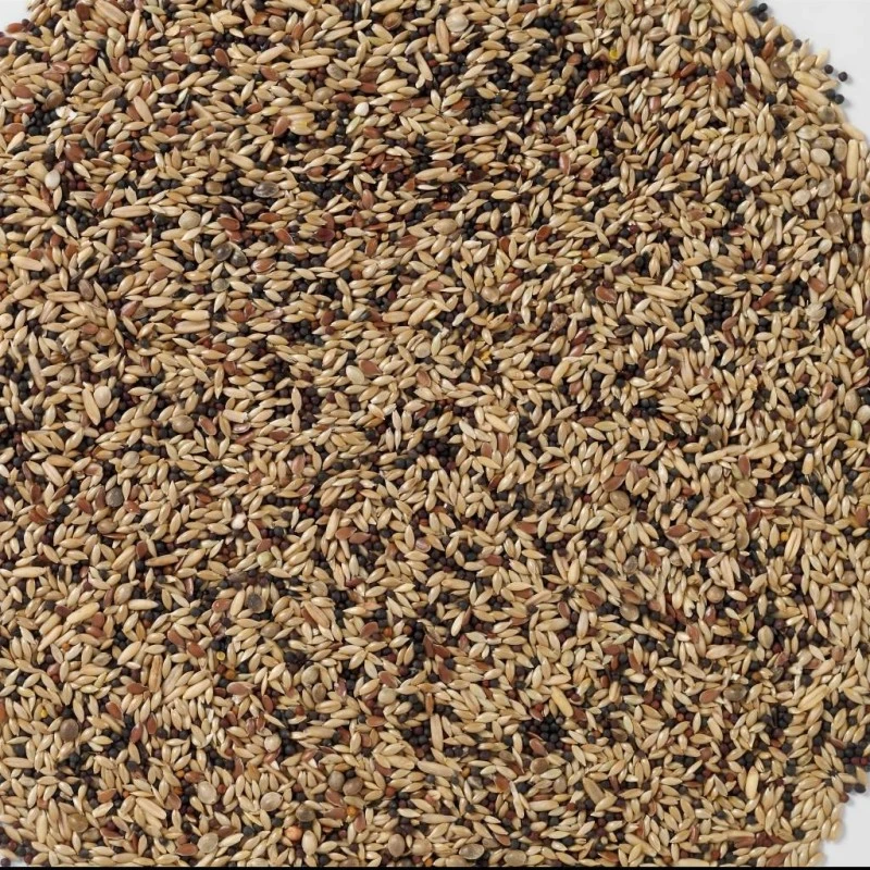 N°53 Canaris Extra 20kg - Deli Nature 4 N°53 Canaris Extra 20kg - Deli Nature - Image 2