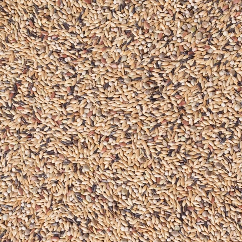 N°54 Canaris Elevage Avec Perilla Blanc 20kg - Deli Nature 4 N°54 Canaris Elevage Avec Perilla Blanc 20kg - Deli Nature - Image 2