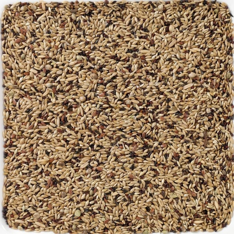 N°55 Canaris Supreme 20kg - Deli Nature 4 N°55 Canaris Supreme 20kg - Deli Nature - Image 2