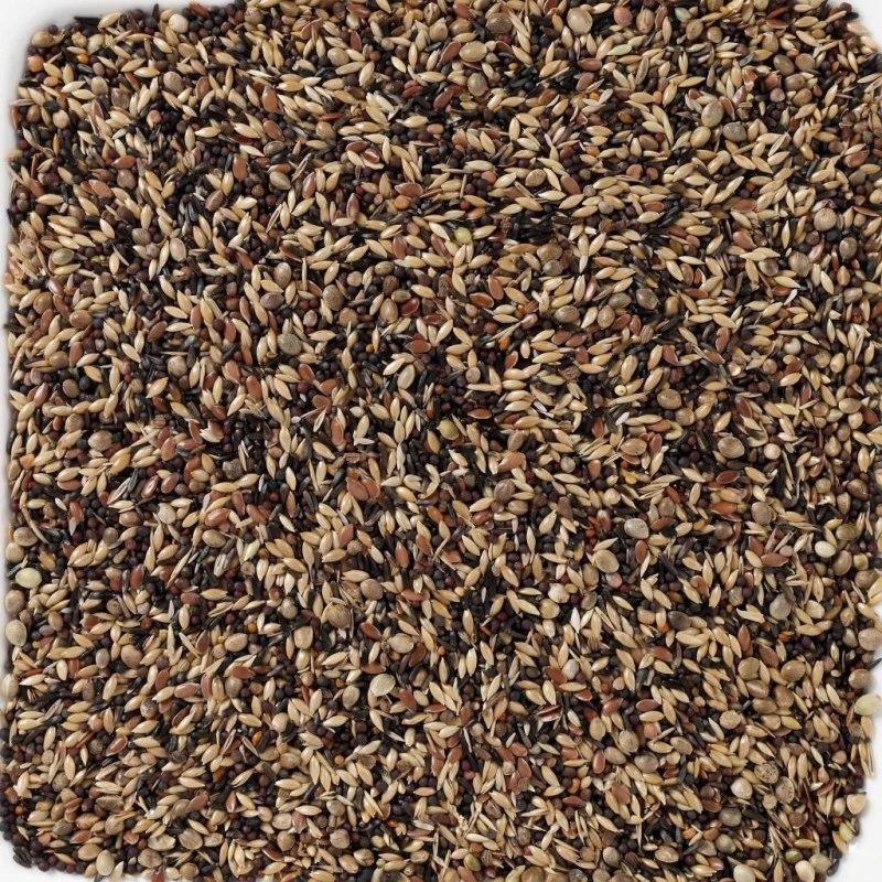 N°58 Tarins & Chardonnerets Supreme 20kg - Deli Nature 4 N°58 Tarins & Chardonnerets Supreme 20kg - Deli Nature - Image 2