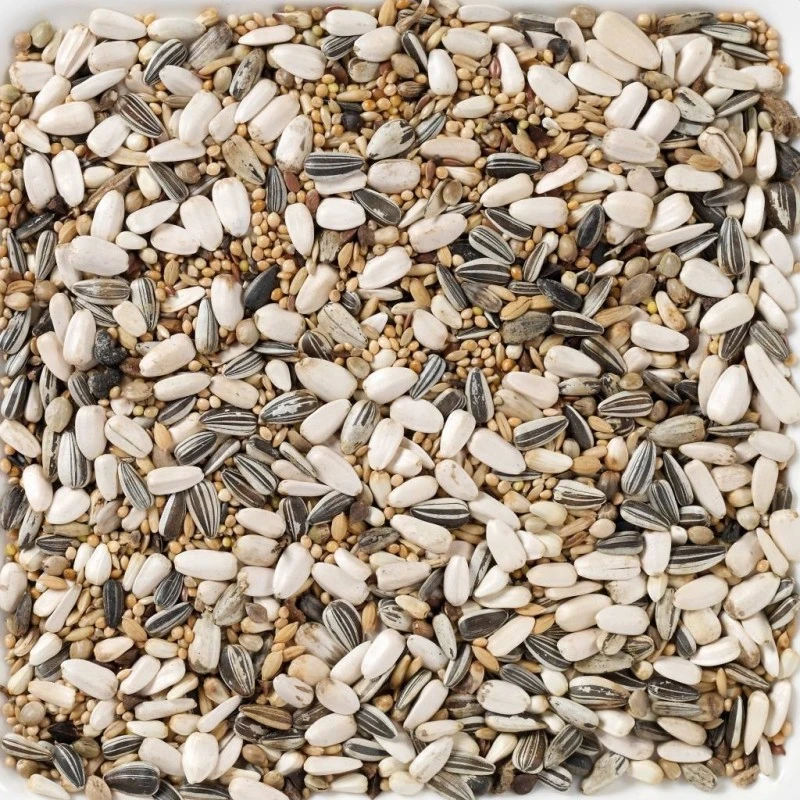 N°59 Grandes Perruches Standard 15kg - Deli Nature 4 N°59 Grandes Perruches Standard 15kg - Deli Nature - Image 2