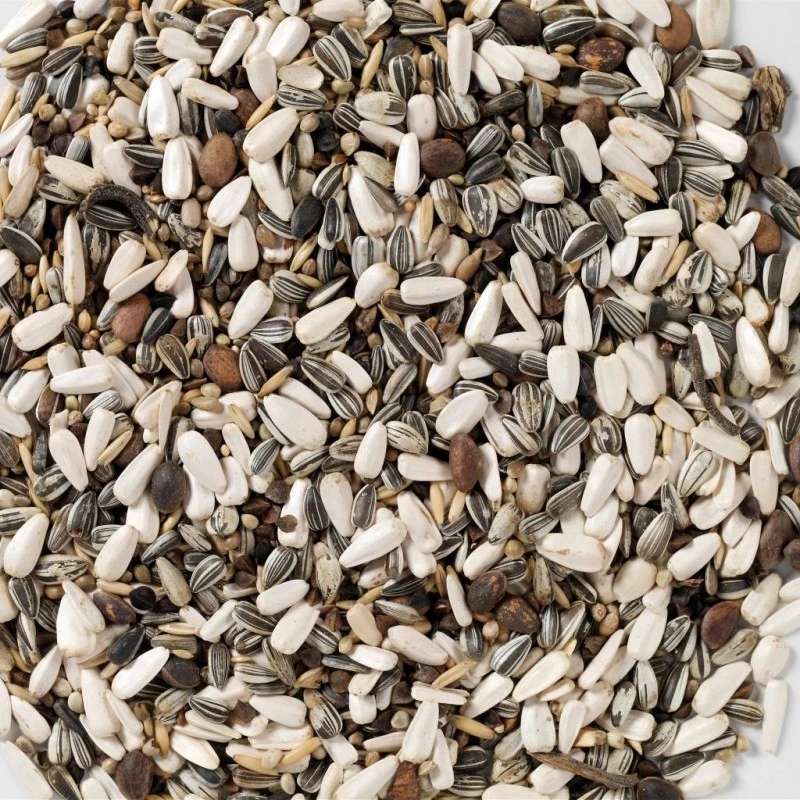 N°62 Perroquets Elevage 15kg - Deli Nature 4 N°62 Perroquets Elevage 15kg - Deli Nature - Image 2