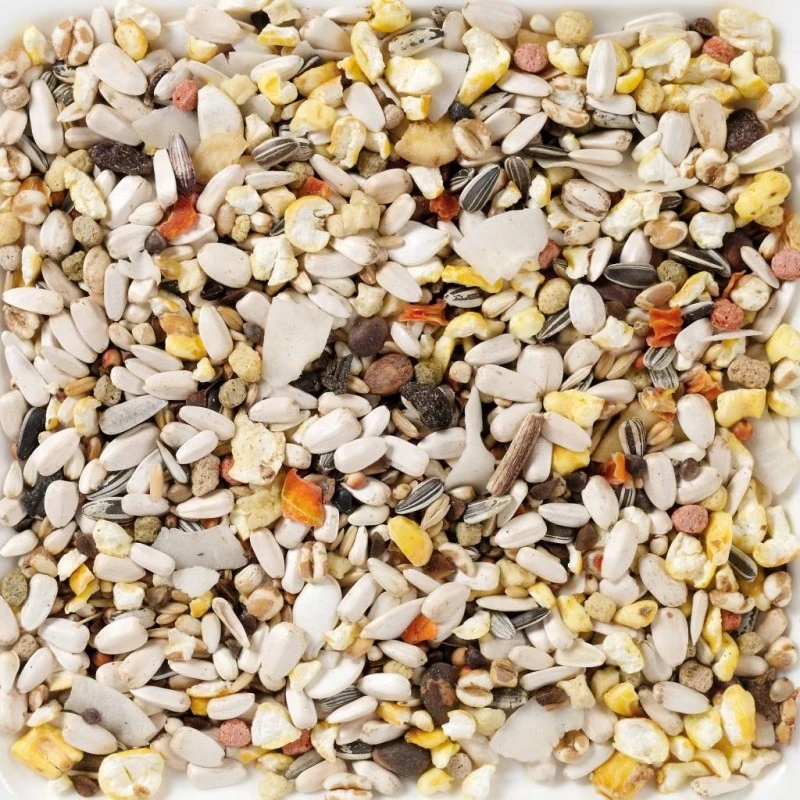 N°64 Perroquets Supreme Fruit 15kg - Deli Nature 4 N°64 Perroquets Supreme Fruit 15kg - Deli Nature - Image 2