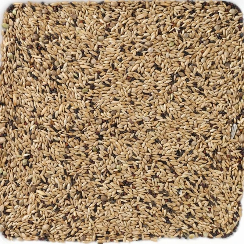 N°65 Canaris Light 20kg - Deli Nature 4 N°65 Canaris Light 20kg - Deli Nature - Image 2