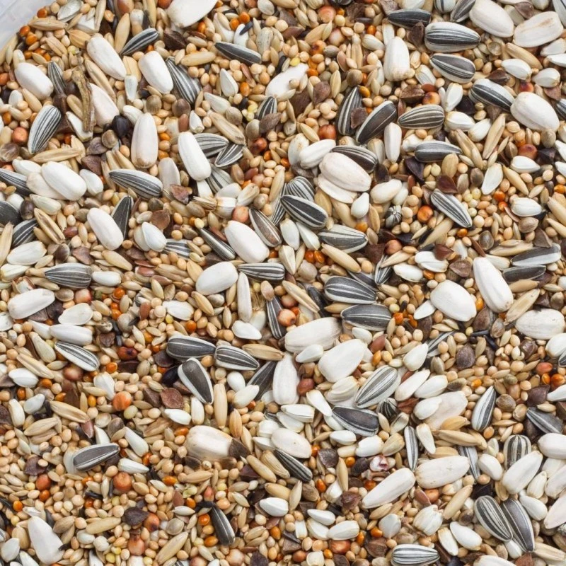 N°69 Grandes Perruches Avec Tournesols 20kg - Deli Nature 4 N°69 Grandes Perruches Avec Tournesols 20kg - Deli Nature - Image 2