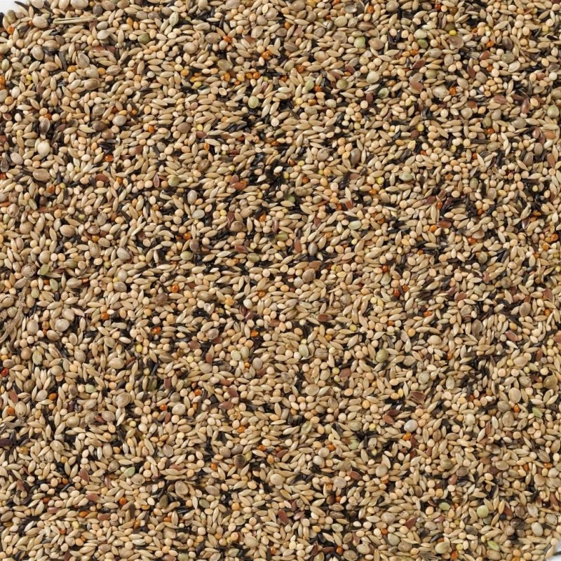 N°70 Neophema Premium 20kg - Deli Nature 4 N°70 Neophema Premium 20kg - Deli Nature - Image 2