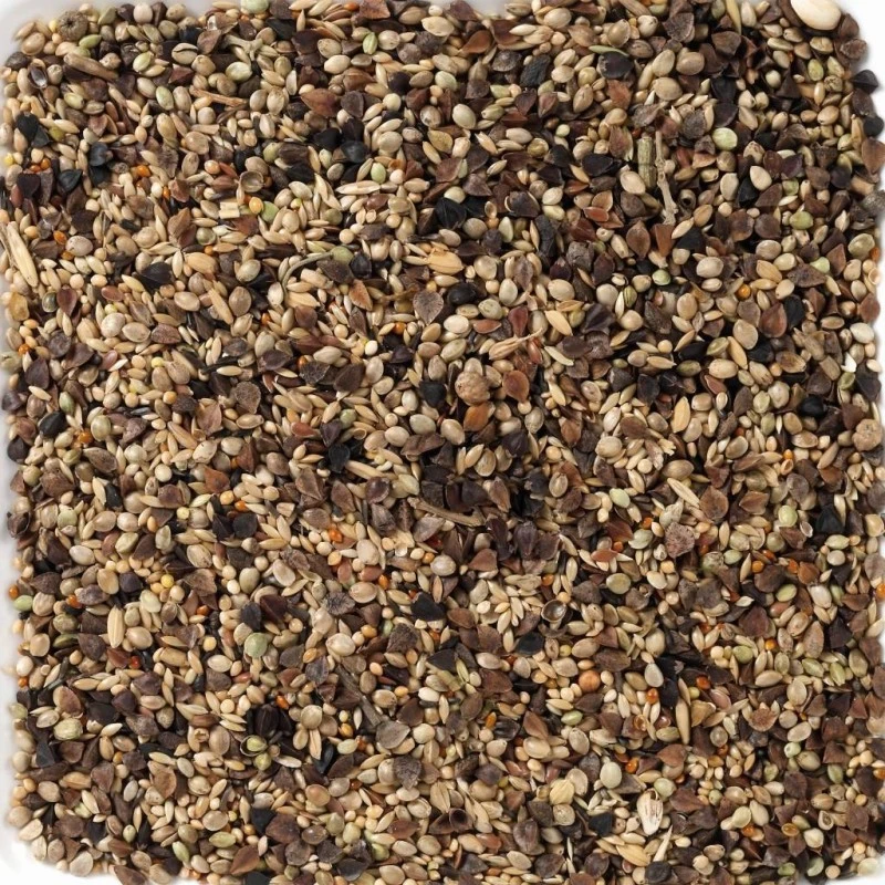 N°71 Agapornis Premium 20kg - Deli Nature 4 N°71 Agapornis Premium 20kg - Deli Nature - Image 2