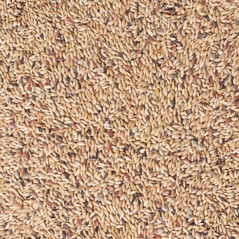 N°81 Canaris Light Sans Navettes 20kg - Deli Nature 4 N°81 Canaris Light Sans Navettes 20kg - Deli Nature - Image 2