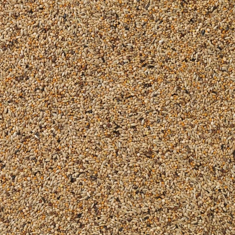 N°84 APV Gould 20kg - Deli Nature 4 N°84 APV Gould 20kg - Deli Nature - Image 2