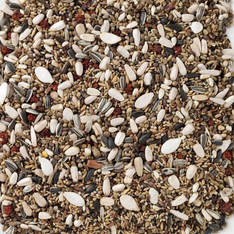 N°90 Durbecs Des Sapins Et Becs-Croisés 15kg - Deli Nature 4 N°90 Durbecs Des Sapins Et Becs-Croisés 15kg - Deli Nature - Image 2