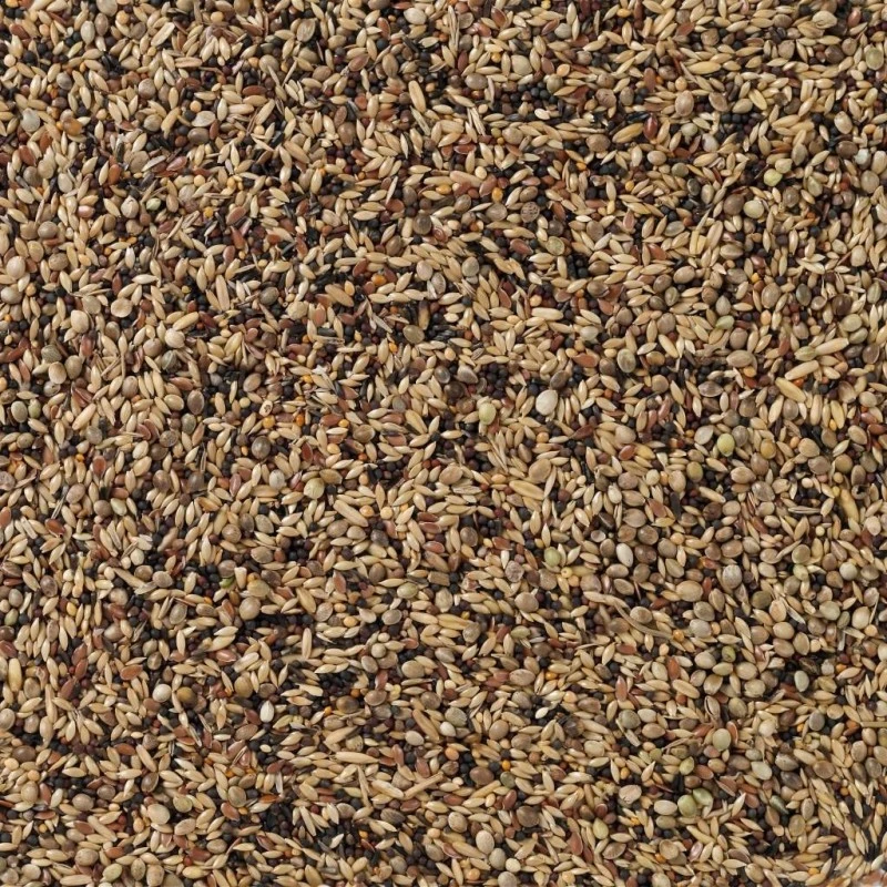 N°91 Oiseaux Indigènes 20kg - Deli Nature 4 N°91 Oiseaux Indigènes 20kg - Deli Nature - Image 2