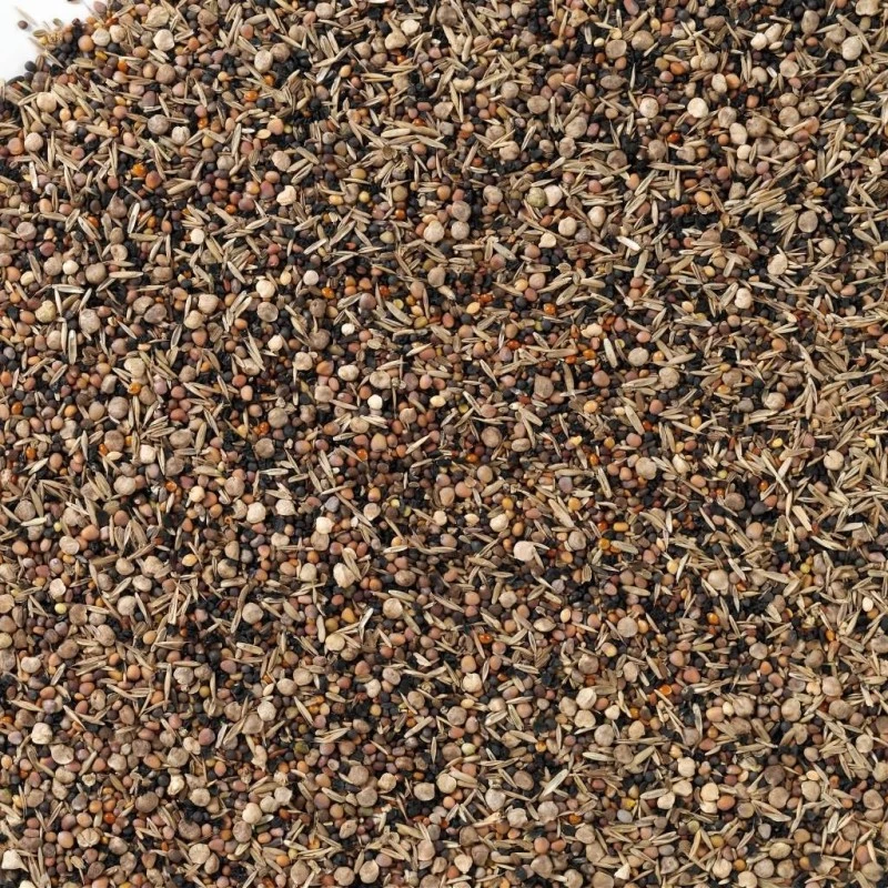 N°93 Graines De Santé Supreme 15kg - Deli Nature 4 N°93 Graines De Santé Supreme 15kg - Deli Nature - Image 2