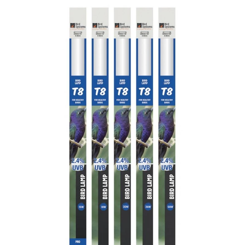 Néon 60cm T8 Bird Lamp 18W - Bird Systems 4 Néon 60cm T8 Bird Lamp 18W - Bird Systems - Image 2