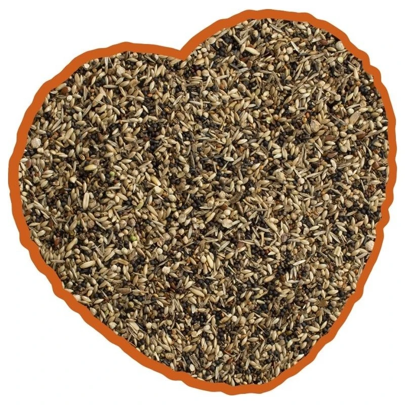 Oiseau Indigène Mix 4kg - Duvo+ 4 Oiseau Indigène Mix 4kg - Duvo+ - Image 2