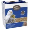 Patée Aux Oeufs Bianco Grasse 4kg - Deli Nature 2 Patée Aux Oeufs Bianco Grasse 4kg - Deli Nature -Bird Supply Store patee aux oeufs bianco grasse 4kg deli nature 040516 deli nature la patee aux oeufs bianco grasse est prete a etre utiliser pour