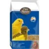 Patée Aux Oeufs Jaune Grasse 10kg - Deli Nature 1 Patée Aux Oeufs Jaune Grasse 10kg - Deli Nature -Bird Supply Store patee aux oeufs jaune grasse 10kg deli nature 040522 deli nature la patee aux oeufs jaune grasse est une patee aux oeufs prete a