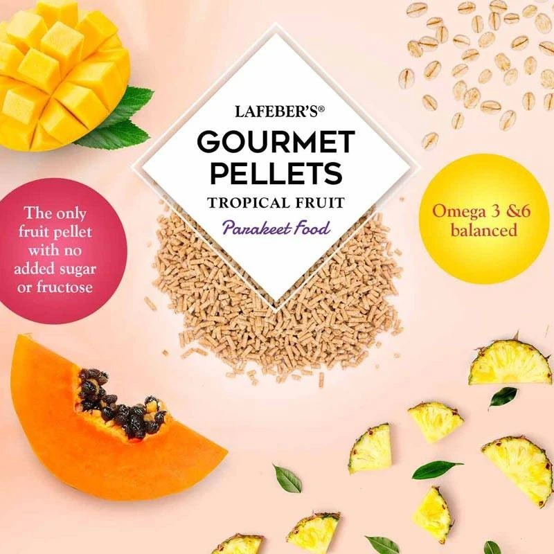 Pellets Gourmands Aux Fruits Tropicaux Cockatiel 567gr - Lafeber's 4 Pellets Gourmands Aux Fruits Tropicaux Cockatiel 567gr - Lafeber's - Image 2