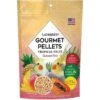 Pellets Gourmands Aux Fruits Tropicaux Cockatiel 567gr - Lafeber's 2 Pellets Gourmands Aux Fruits Tropicaux Cockatiel 567gr - Lafeber's -Bird Supply Store pellets gourmands aux fruits tropicaux cockatiel 567gr lafebers lf52640 lafebers le lafeber gourmet pellets tropical fruit cocka