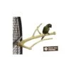 Perchoir Java Multi Perchoirs Premium 30cm Small - Back Zoo Nature 1 Perchoir Java Multi Perchoirs Premium 30cm Small - Back Zoo Nature -Bird Supply Store perchoir java multi perchoirs premium 30cm small back zoo nature zf1004 back zoo nature perchoir java multi perchoirs premium 30