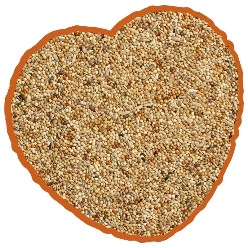 Perruche Mix 20kg - Duvo+ 4 Perruche Mix 20kg - Duvo+ - Image 2