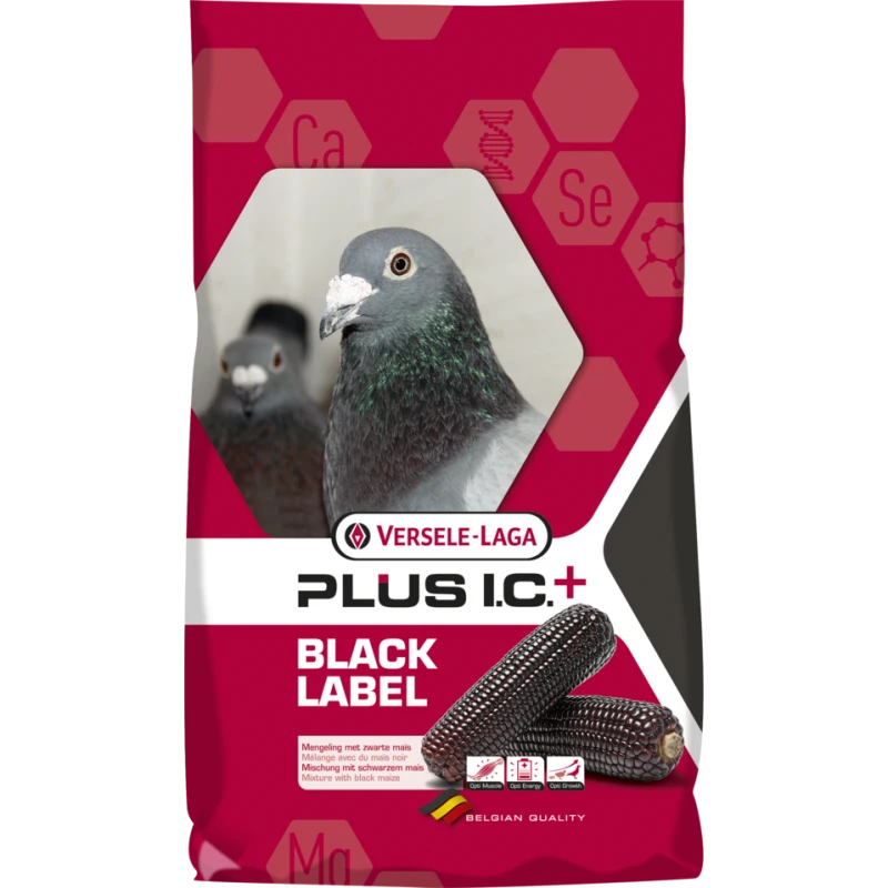 VERSELE-LAGA Plus I.C.⁺ Black Label Black Label Start 20kg - Mélange Complet D'élevage, Avec Du Maïs Noir 3 VERSELE-LAGA Plus I.C.⁺ Black Label Black Label Start 20kg - Mélange Complet D'élevage, Avec Du Maïs Noir