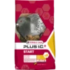 VERSELE-LAGA Plus I.C.⁺ Start 20kg - Mélange Complet D'élevage 1 VERSELE-LAGA Plus I.C.⁺ Start 20kg - Mélange Complet D'élevage -Bird Supply Store plus ic start 20kg melange complet delevage 411027 versele laga melange complet delevage aliment complet pour pigeons avec le gr