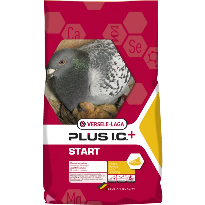 VERSELE-LAGA Plus I.C.⁺ Start 20kg - Mélange Complet D'élevage 3 VERSELE-LAGA Plus I.C.⁺ Start 20kg - Mélange Complet D'élevage