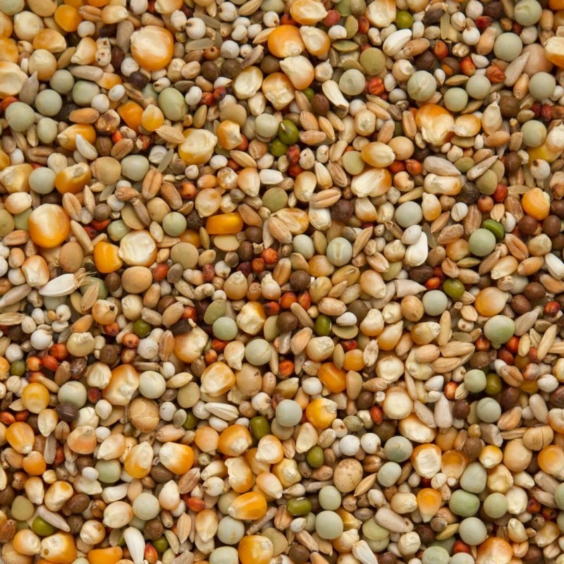 Premium Brilliant 20kg - Beyers 4 Premium Brilliant 20kg - Beyers - Image 2