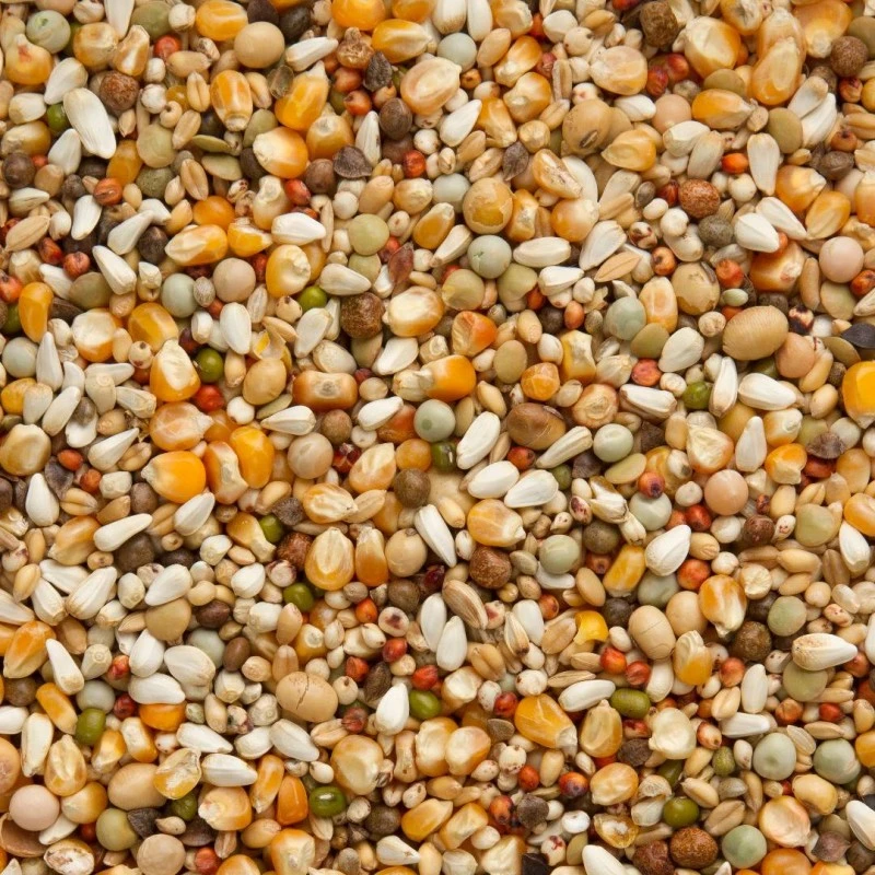 Premium Jan Keen Superlight 20kg - Beyers 4 Premium Jan Keen Superlight 20kg - Beyers - Image 2