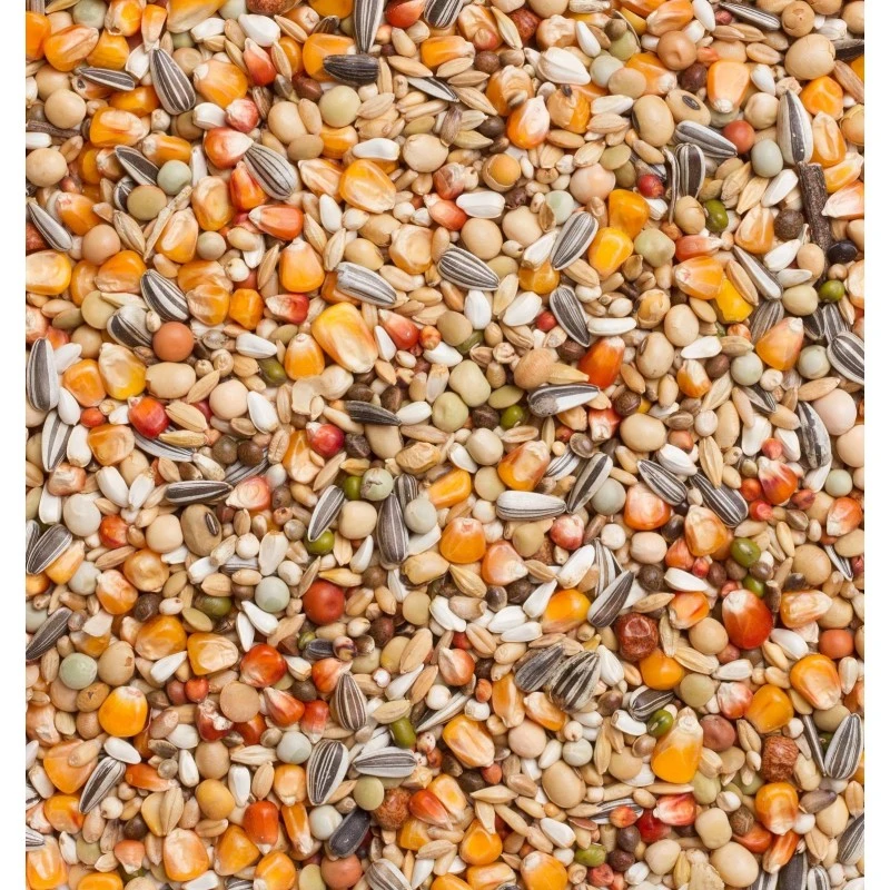 Premium Thoné Olympic 20kg - Beyers 4 Premium Thoné Olympic 20kg - Beyers - Image 2