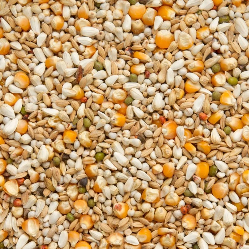 Premium Vandenabeele 20kg - Beyers 4 Premium Vandenabeele 20kg - Beyers - Image 2