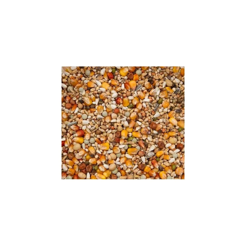 Premium Verkerk Sport 20kg - Beyers 4 Premium Verkerk Sport 20kg - Beyers - Image 2