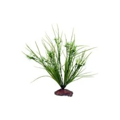 Serengeti Fleur +/-30cm