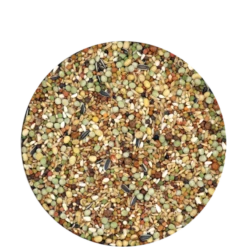 Show Plus I.C.⁺ Sans Maïs 20kg - Mélange Complet Pour Pigeons D'ornement Sans Maïs 5 Show Plus I.C.⁺ Sans Maïs 20kg - Mélange Complet Pour Pigeons D'ornement Sans Maïs -Bird Supply Store show plus ic sans mais 20kg melange complet pour pigeons dornement sans mais 411498 versele laga melange de graines complet pige 1