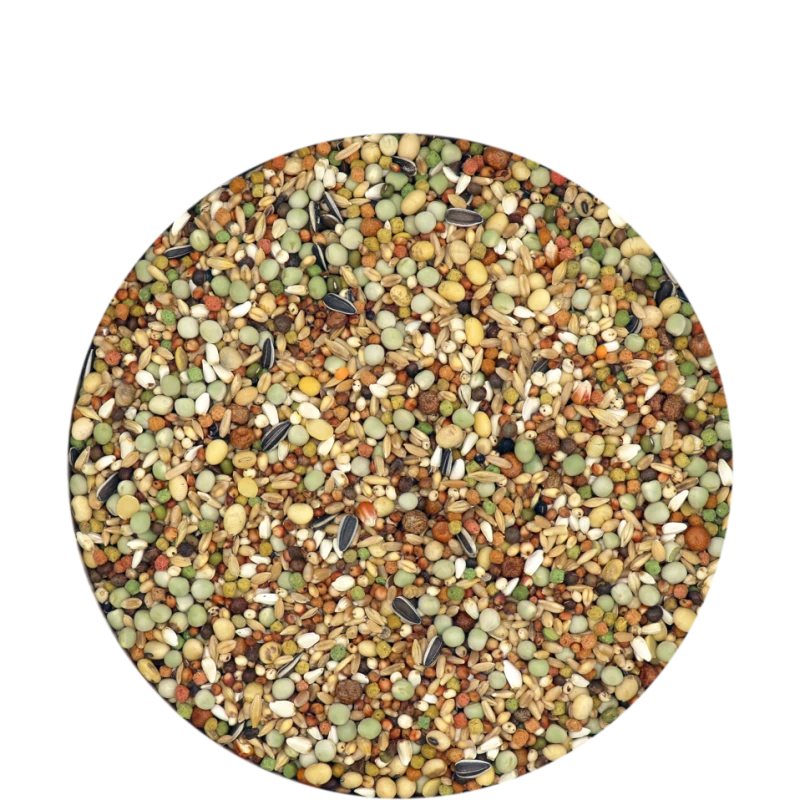 Show Plus I.C.⁺ Sans Maïs 20kg - Mélange Complet Pour Pigeons D'ornement Sans Maïs 4 Show Plus I.C.⁺ Sans Maïs 20kg - Mélange Complet Pour Pigeons D'ornement Sans Maïs - Image 2