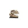 Socle Dinosaure 1 Résine 19x9x14cm - Giganterra -Bird Supply Store socle dinosaure 1 resine 19x9x14cm giganterra g04 00334 giganterra socle dinosaure 1 resine 19x9x14cm giganterra
