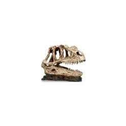 Socle Dinosaure 1 Résine 19x9x14cm - Giganterra