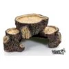 Souches Plate-forme M 21x12x9cm - Giganterra -Bird Supply Store souches plate forme m 21x12x9cm giganterra g04 00329 giganterra decoration en resine les cachettes en resine sont tres utiles po