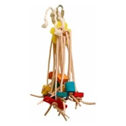 Spiddy Medium - Zoo-Max