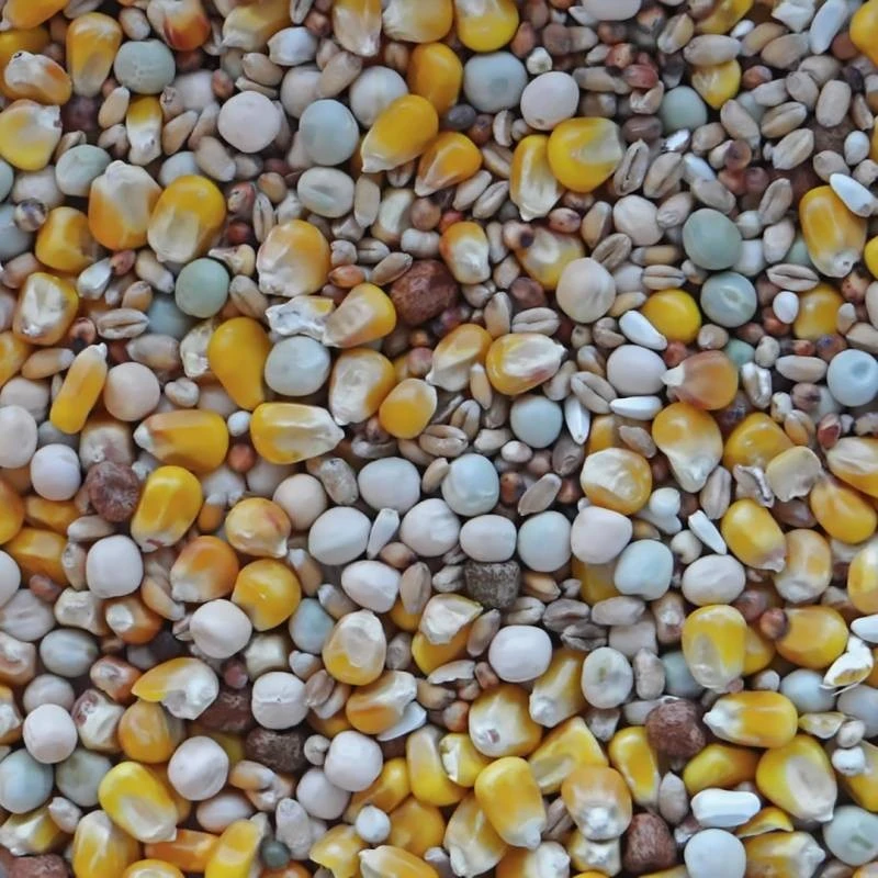 Standard 4 Saisons 20kg - Witte Molen 4 Standard 4 Saisons 20kg - Witte Molen - Image 2