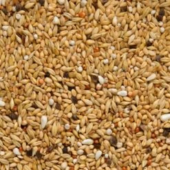 Super Dépuratif 25kg - Beyers 5 Super Dépuratif 25kg - Beyers -Bird Supply Store super depuratif 25kg beyers 004416 beyers beyers super depuratifmelange depuratif pour pigeons ce melange leger est specialement 1