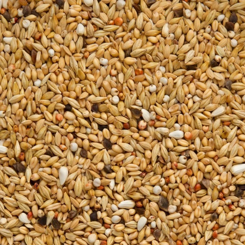 Super Dépuratif 25kg - Beyers 4 Super Dépuratif 25kg - Beyers - Image 2