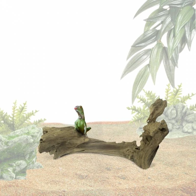 Teck Carotte S/20-30 Cm - Back Zoo Nature 4 Teck Carotte S/20-30 Cm - Back Zoo Nature - Image 2