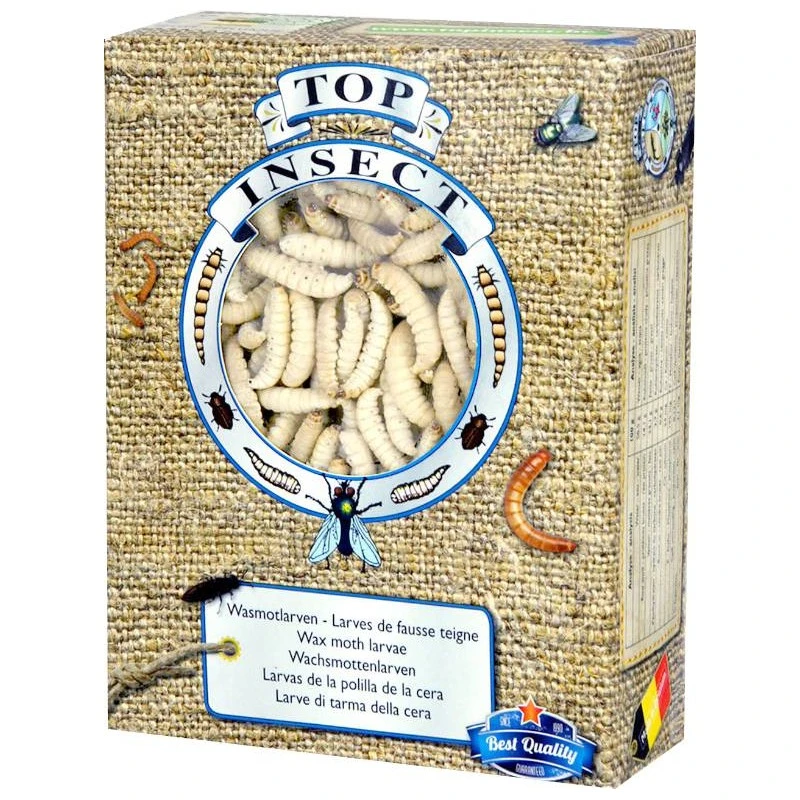 Teignes De Ruches (insectes Congelés) 450gr - Top Insect 3 Teignes De Ruches (insectes Congelés) 450gr - Top Insect