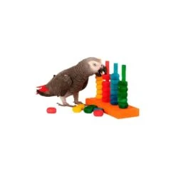 The Teacher En Bois - Zoo-Max