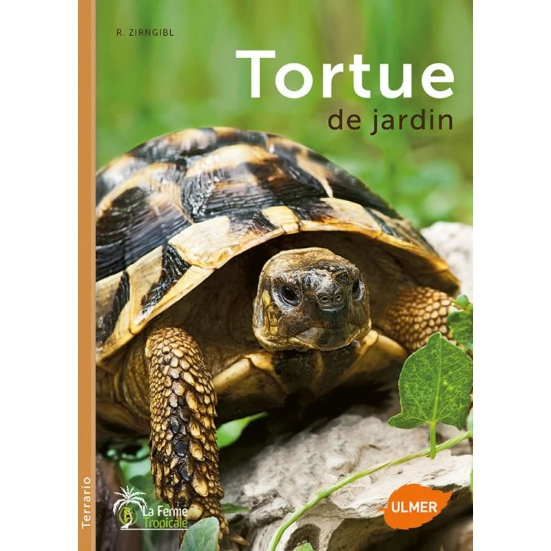 Tortue De Jardin - Reiner ZIRNGIBL 3 Tortue De Jardin - Reiner ZIRNGIBL